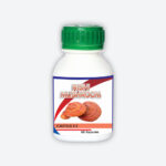 Rishi Mushroom Capsules