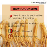 Ginseng Extract Capsules - Image 5
