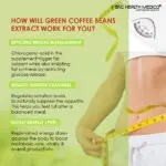 Green Coffee Bean Extract - Image 6