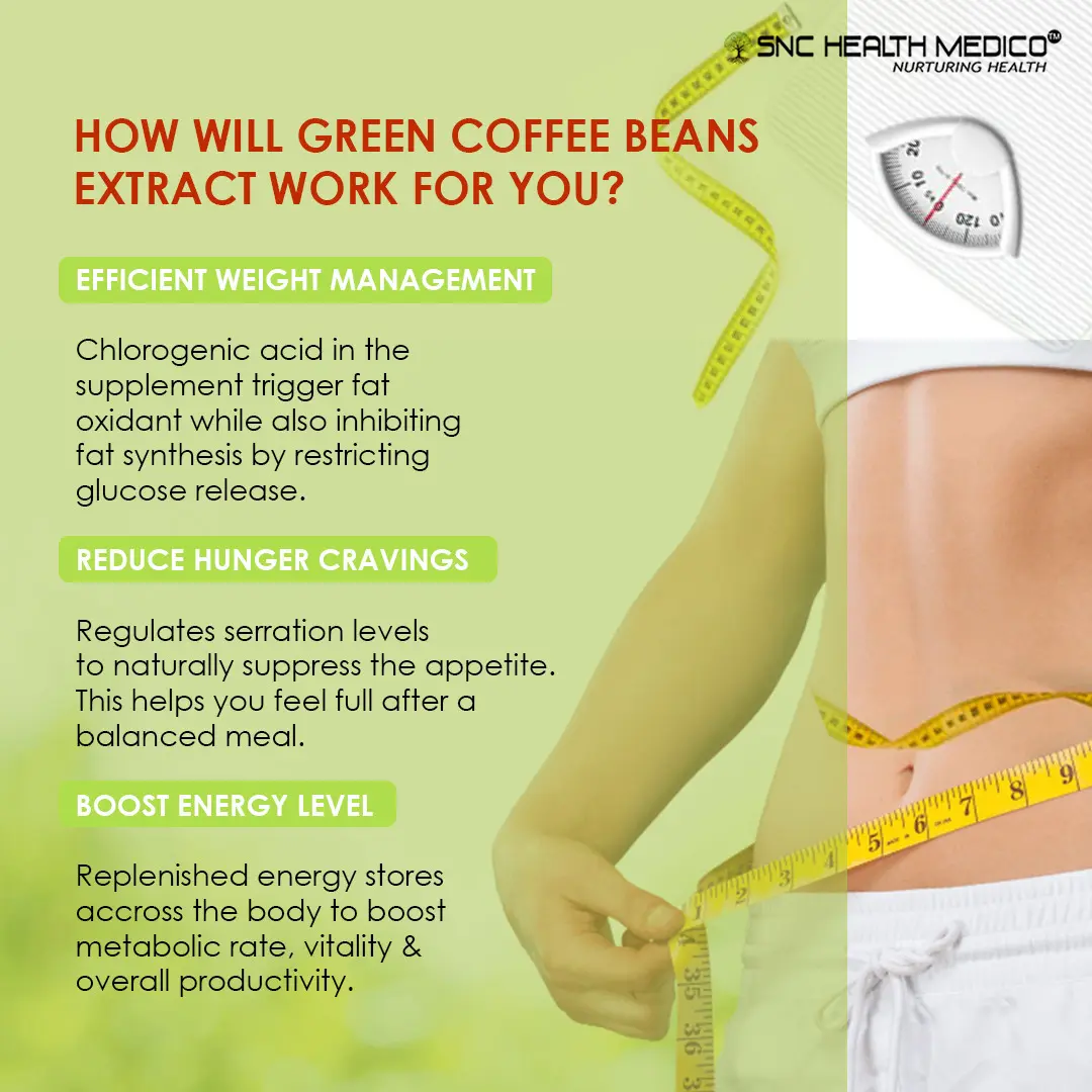 GREEN COFFEE BEAN 2 Green Coffee Bean Extract - Image 6