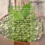 Green Coffee Bean Extract - Image 4