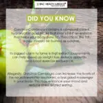 Garcinia Extract Cambogia - Image 2