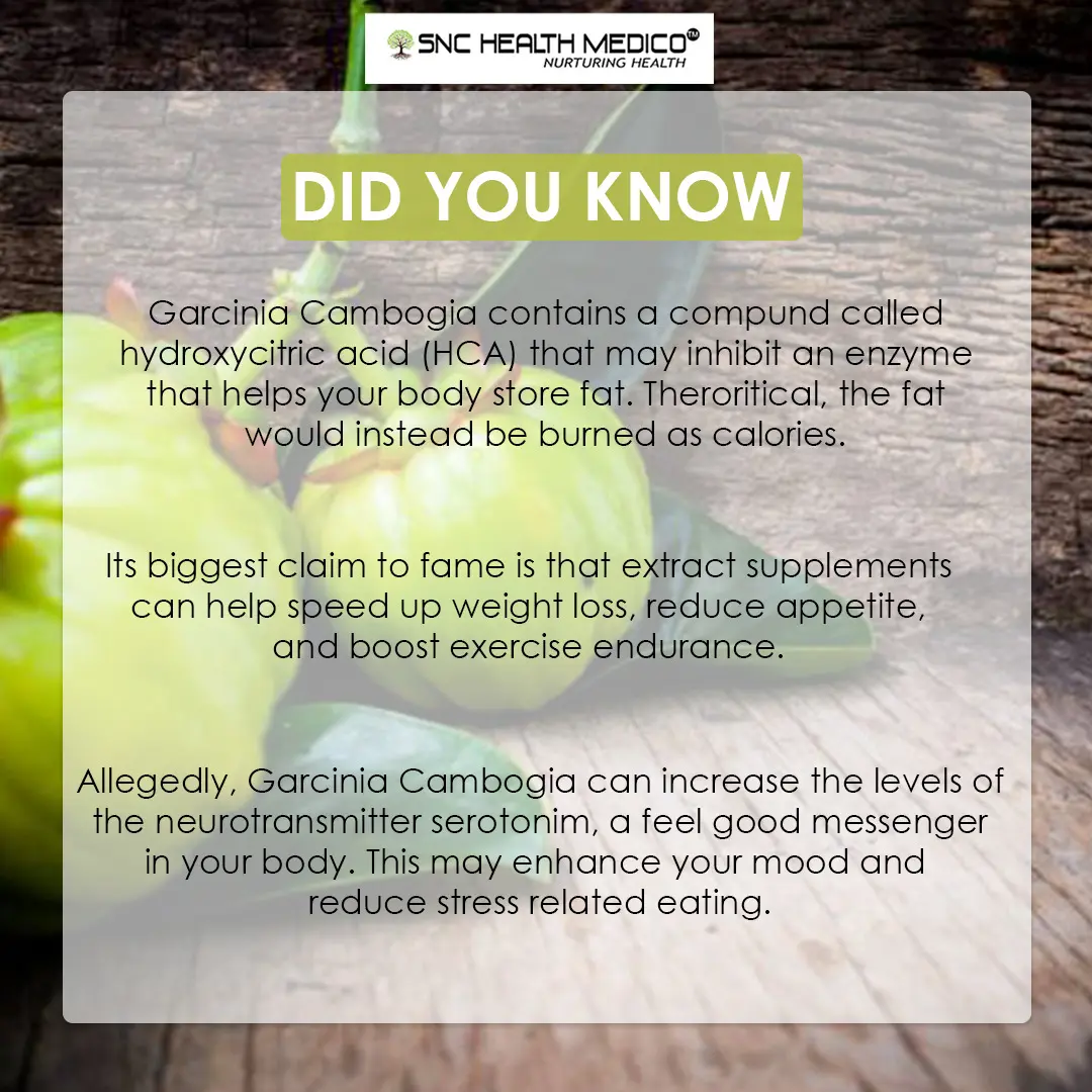 Garcinia Cambogia Garcinia Extract Cambogia - Image 2