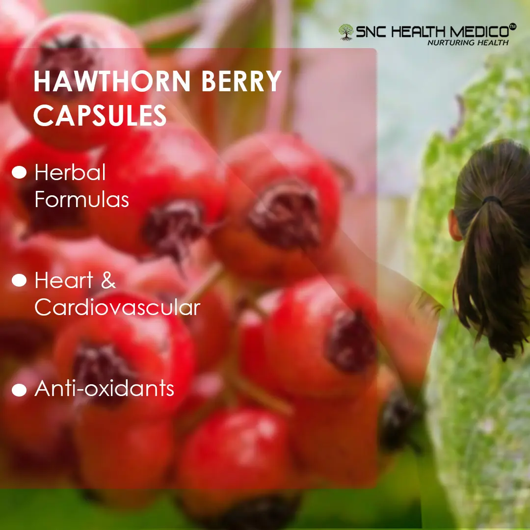HAWTHORN BERRY 1 Hawthorn Berry Extract capsules - Image 3
