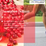 Hawthorn Berry Extract capsules - Image 5