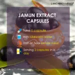 Jamun Capsules - Image 3