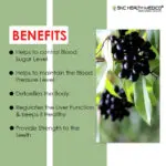 Jamun Capsules - Image 2