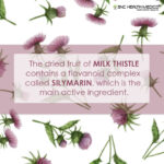 Milk Thistle Capsules - Image 3