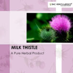 Milk Thistle Capsules - Image 2
