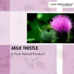 Milk Thistle Capsules - Image 2