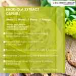 Rhodiola Extract Capsules - Image 3