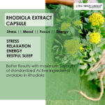 Rhodiola Extract Capsules - Image 2