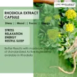 Rhodiola Extract Capsules - Image 2
