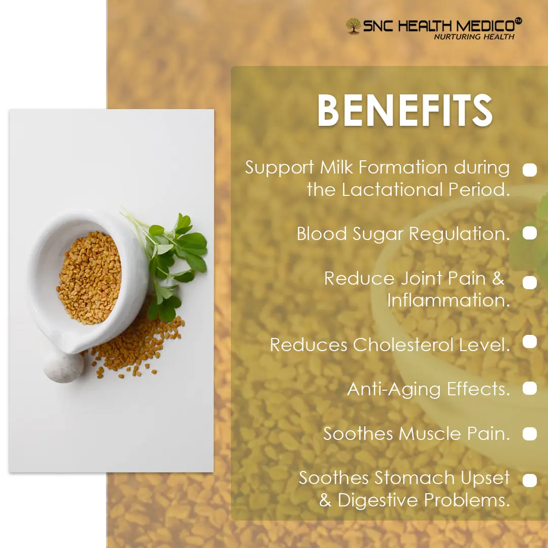 fenugreek 2 Fenugreek Extract Capsules - Image 2