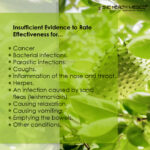 Green Coffee Bean Extract - Image 3