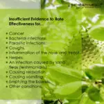 Green Coffee Bean Extract - Image 3