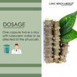 Giloy Extract Capsules - Image 4