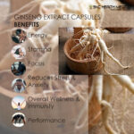 Ginseng Extract Capsules - Image 4