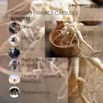 Ginseng Extract Capsules - Image 4