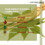 Ginseng Extract Capsules - Image 2