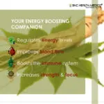 Ginseng Extract Capsules - Image 2
