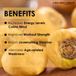 Maca Root Extract Capsules - Image 2