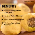 Maca Root Extract Capsules - Image 2
