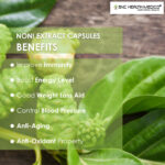 Noni Extract Capsules - Image 4