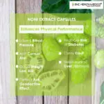 Noni Extract Capsules - Image 3