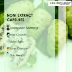 Noni Extract Capsules - Image 2