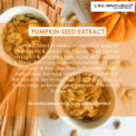 Pumpkin Seeds Extract Capsules - Image 2