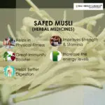 Safed Musli Extract Capsules - Image 2