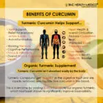 Curcumin Extract Capsules - Image 2