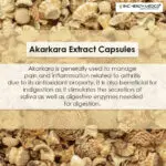 Akarkara Extract Capsules - Image 2