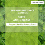 Bhuiamalaki Extract Capsules - Image 2