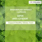Bhuiamalaki Extract Capsules - Image 2