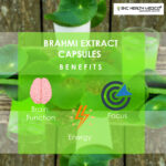 Brahmi Extract Capsules - Image 5