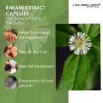 Brahmi Extract Capsules - Image 3