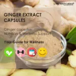 Ginger Capsules - Image 3