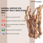 Punarnava Extract Capsules - Image 2