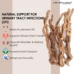 Punarnava Extract Capsules - Image 2