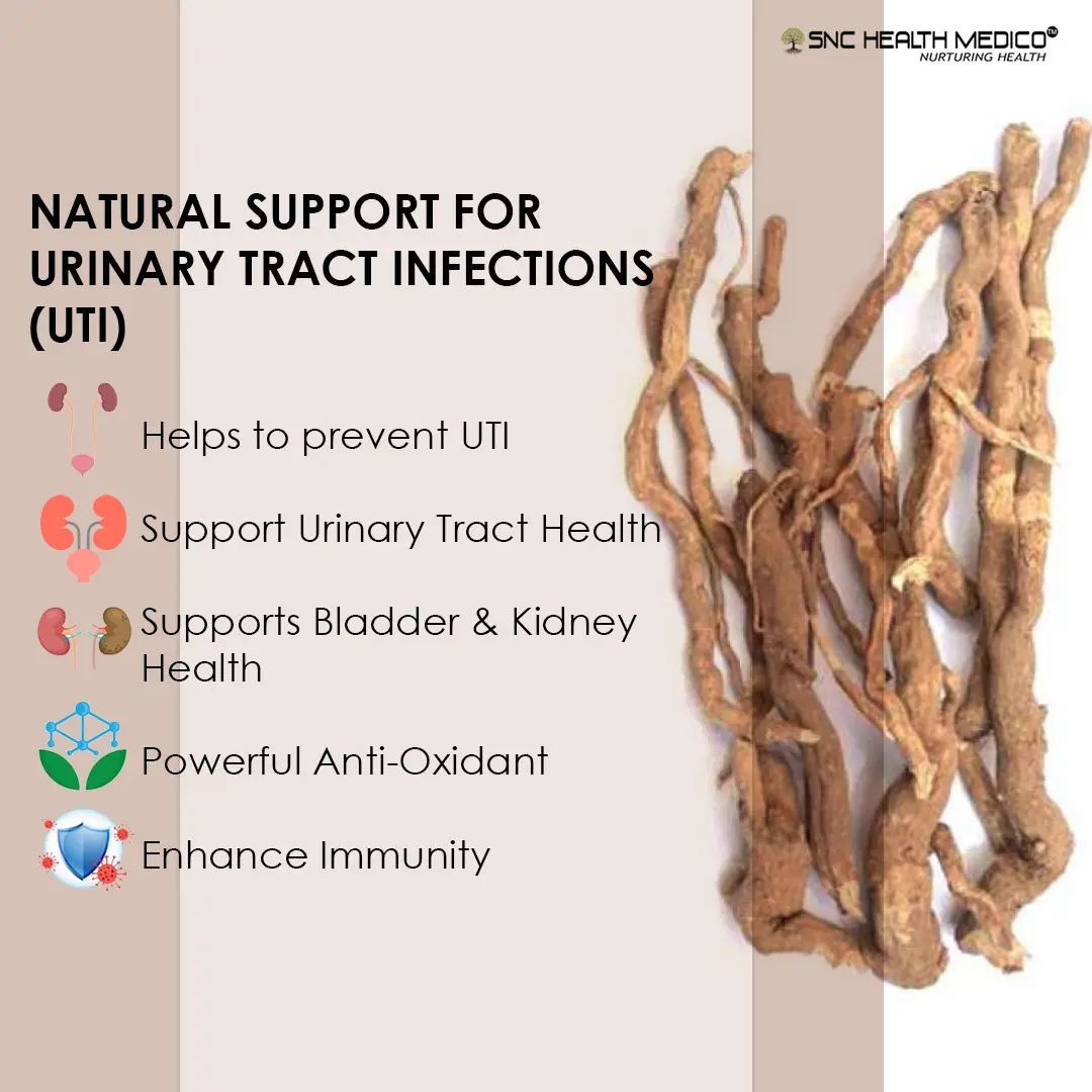 PUNARNAVA EXTRACT 2 Punarnava Extract Capsules - Image 2