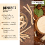 Ashwagandha Extract Tablets - Image 2