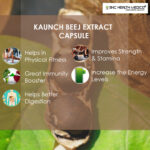 Kaunch Beej Extract Capsules - Image 3