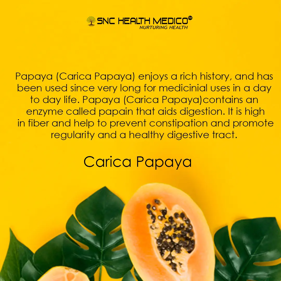 papaya 4 (2) Carica Papaya Extract Capsules - Image 3