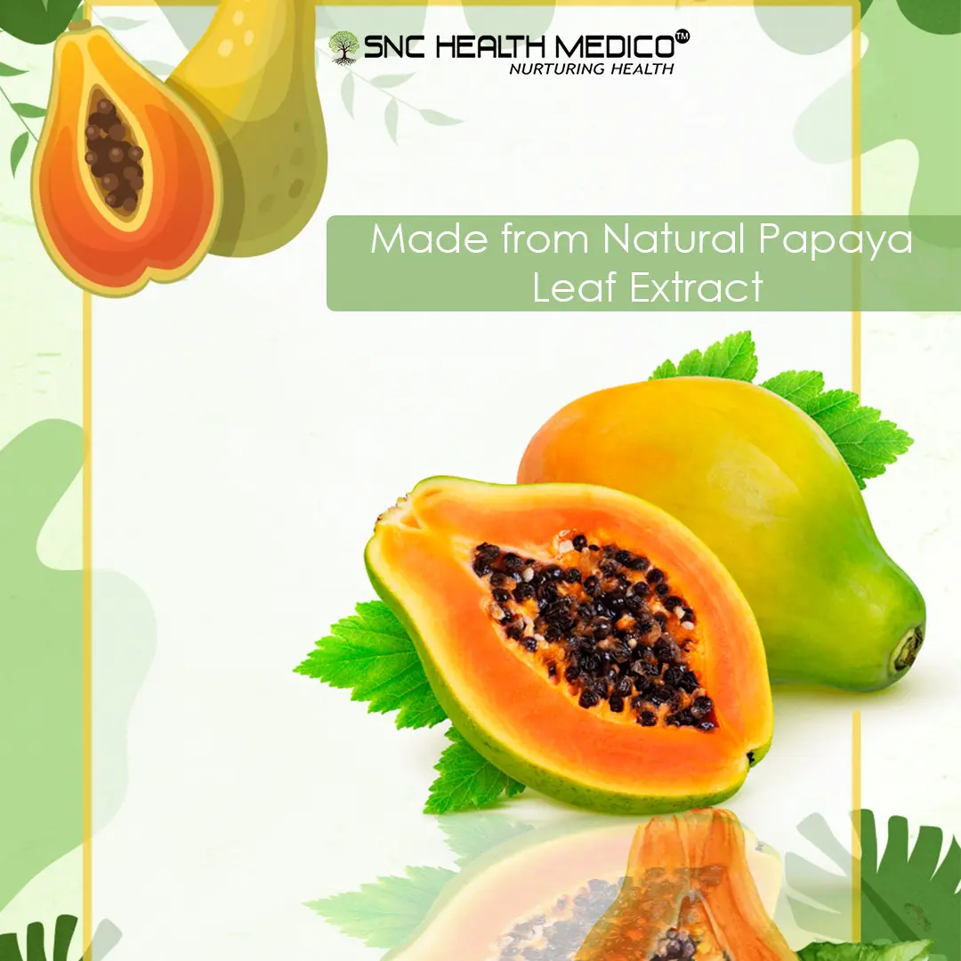 papayyaa 1 (1) Carica Papaya Extract Capsules - Image 2